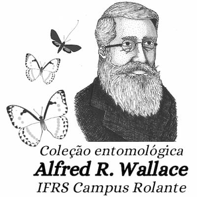 Entomologica_Campus Rolante.jpg